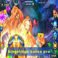 bingotingo canva pro