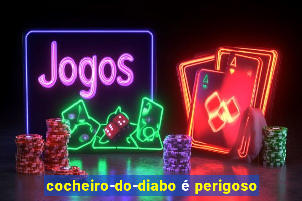 cocheiro-do-diabo é perigoso