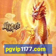 pgvip1177.com