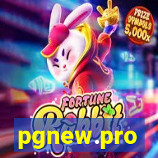 pgnew.pro